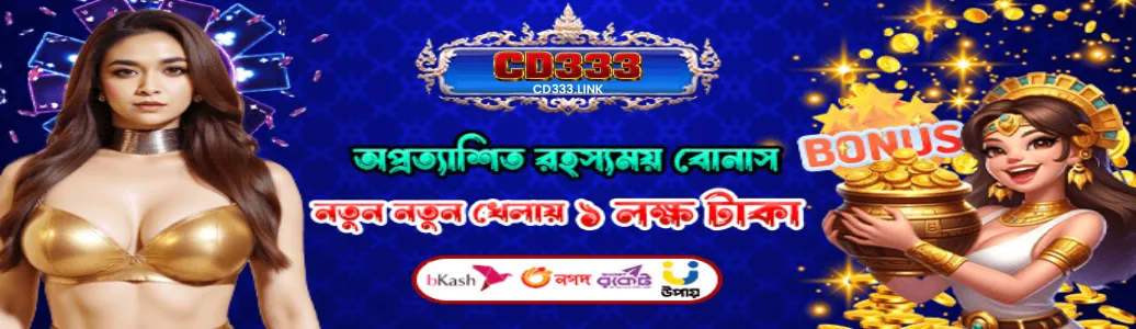 CD333 About us